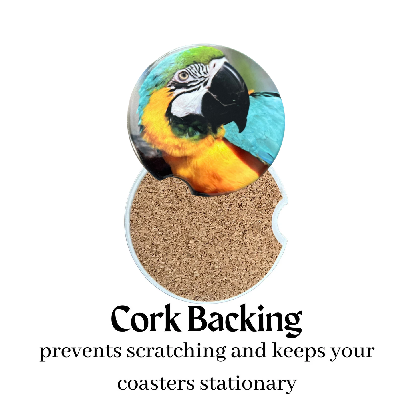 Car Coasters - Parrot