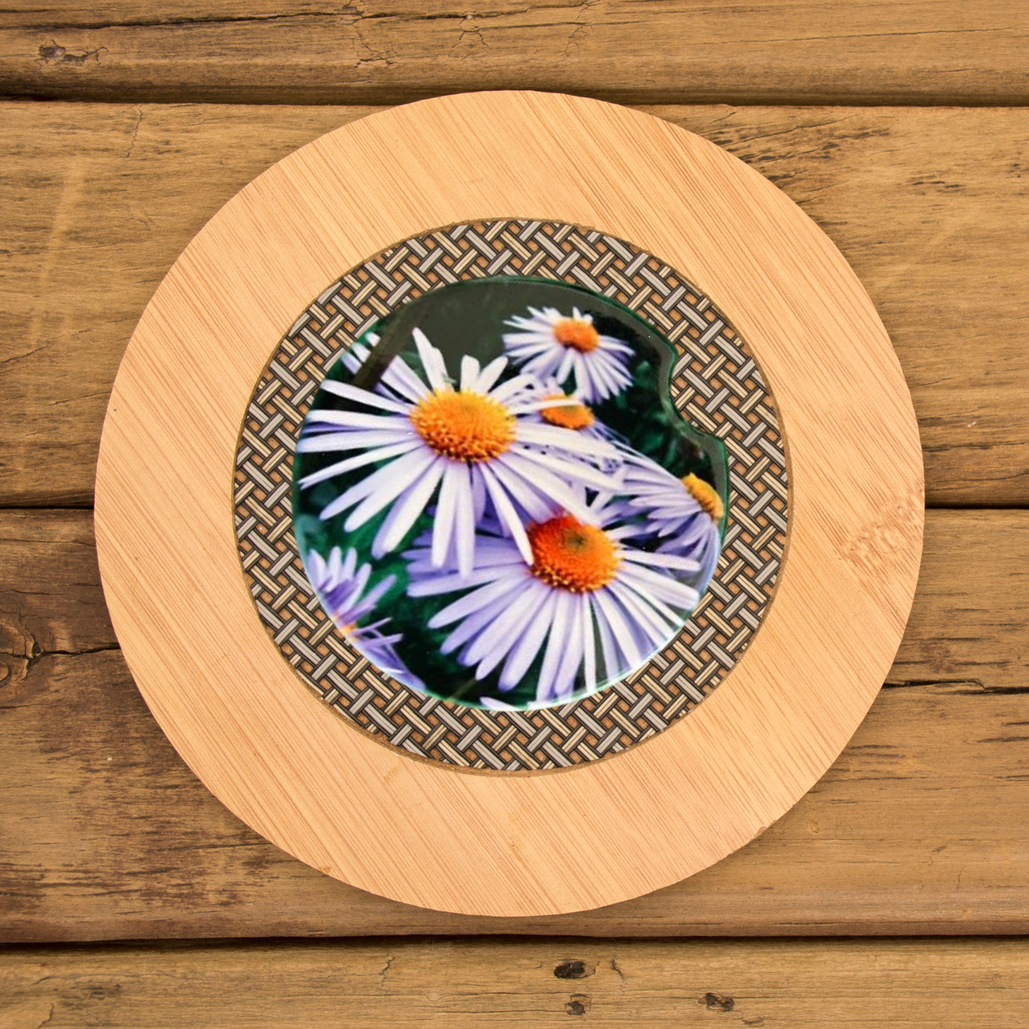 Car Coasters - Mönch Aster Soft Purple Flowers