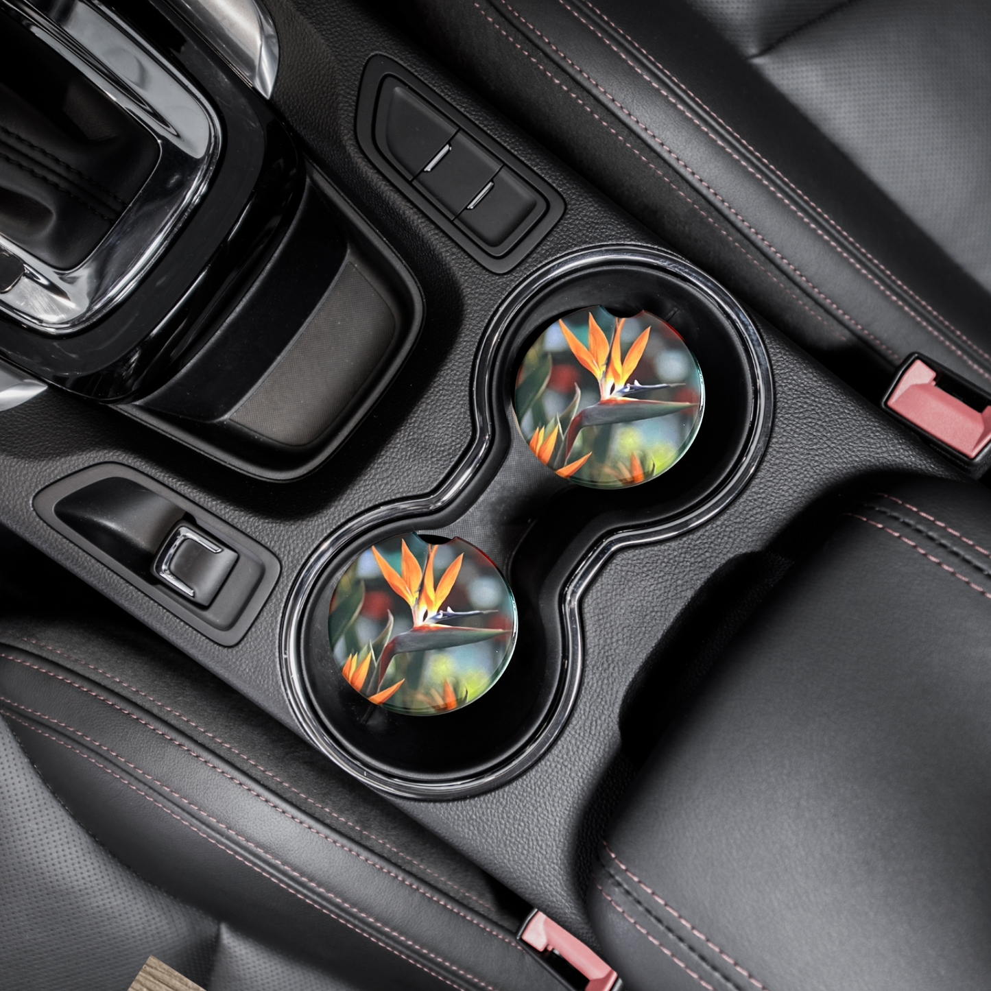 Car Coasters - Bird of Paradise Flower, Plant