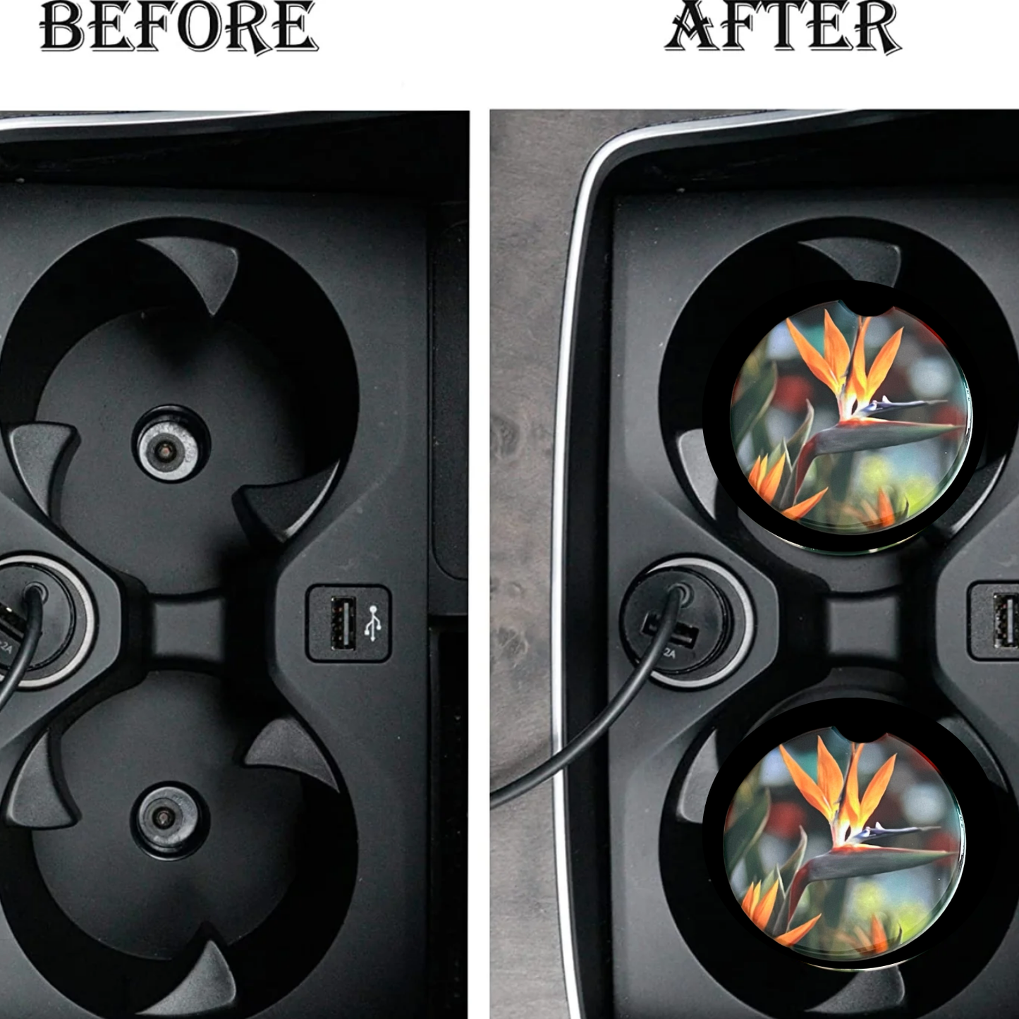 Car Coasters - Bird of Paradise Flower, Plant