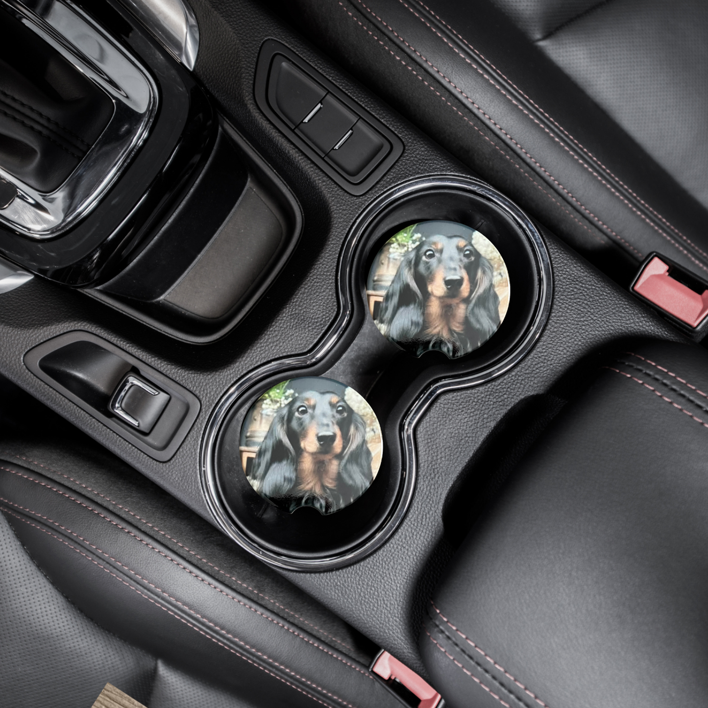 Car Coasters - Dog - Black Haired Dachshund/Docson