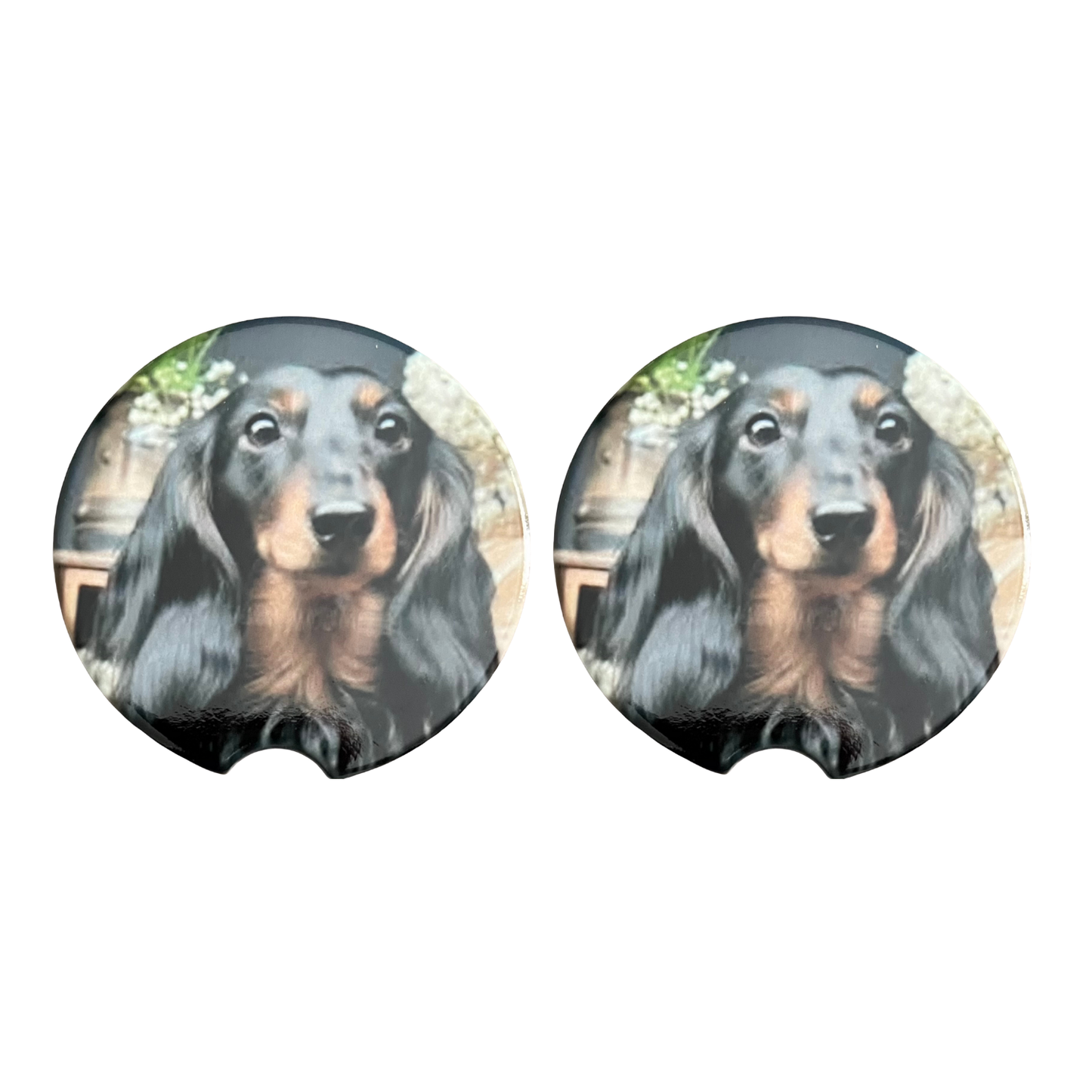 Car Coasters - Dog - Black Haired Dachshund/Docson