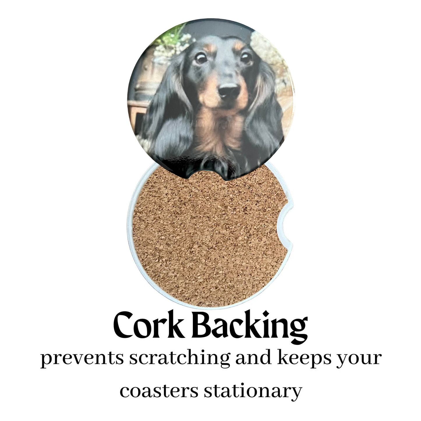 Car Coasters - Dog - Black Haired Dachshund/Docson