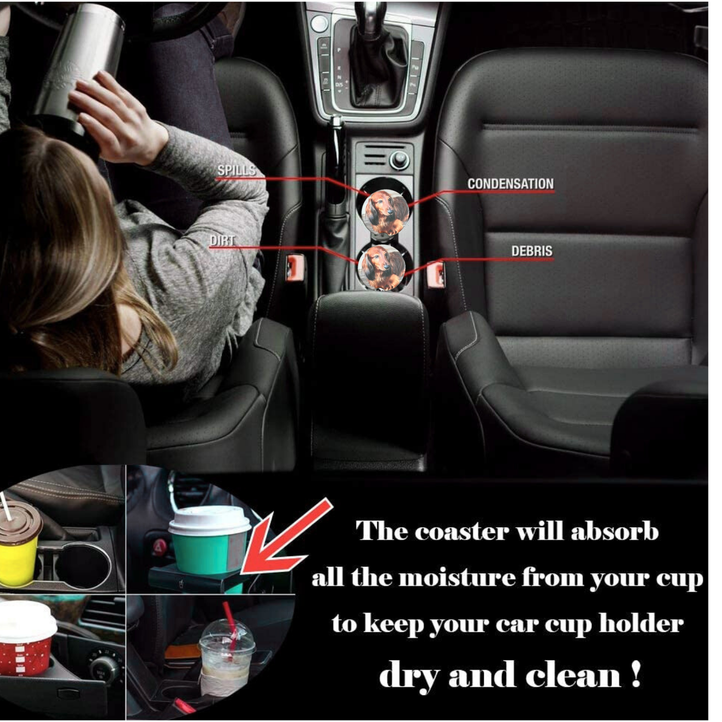 Car Coasters - Dog - Red Haired Dachshund/Docson