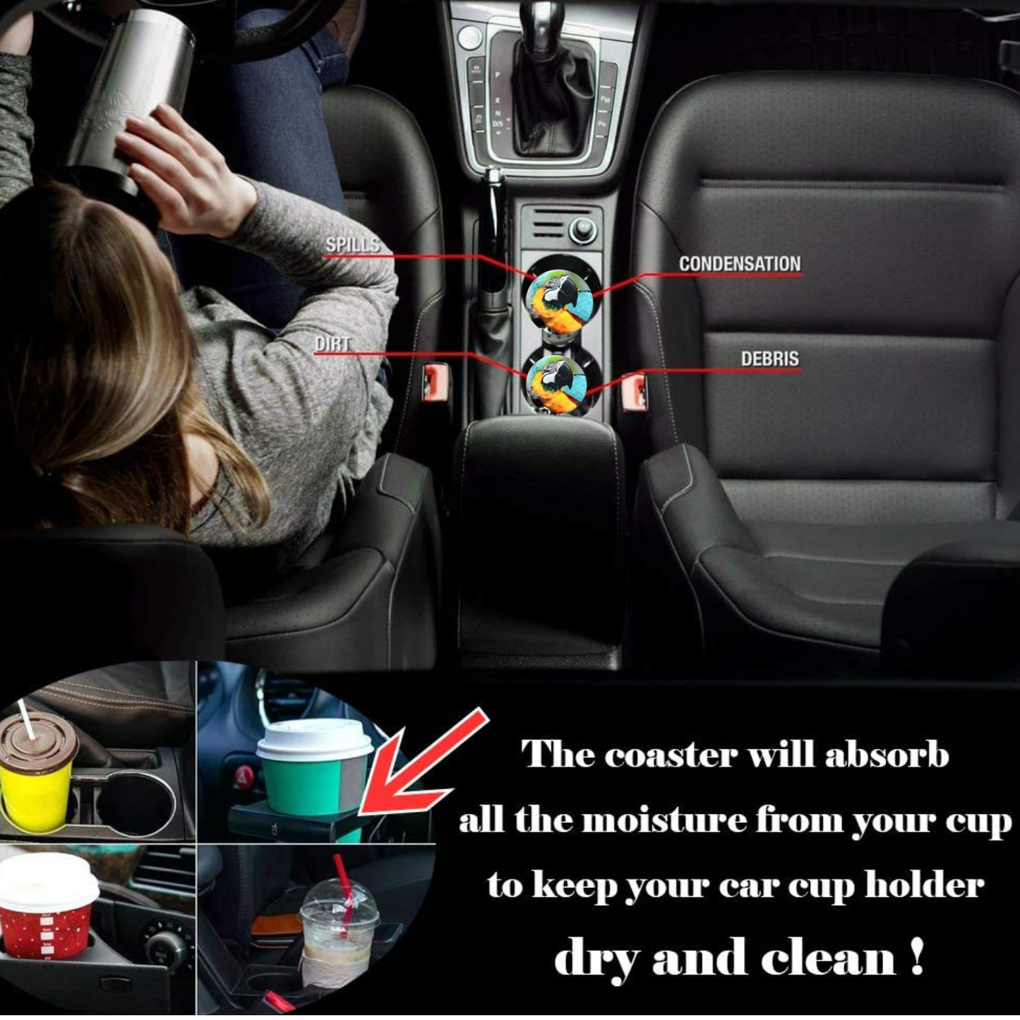 Car Coasters - Parrot