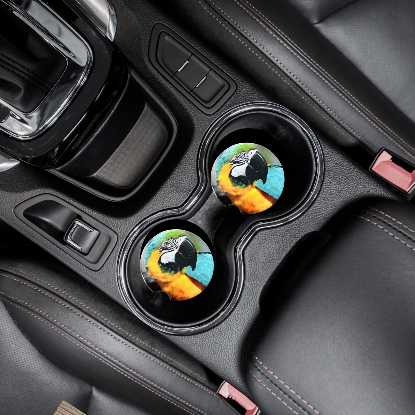 Car Coasters - Parrot