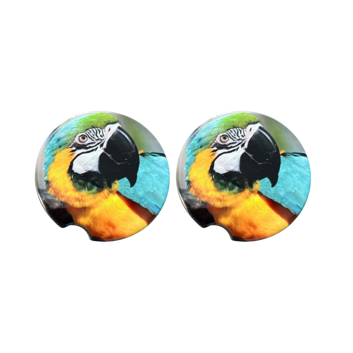 Car Coasters - Parrot